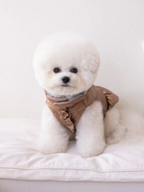 Metallic Bronze Ruffle Dog Puffer Jacket Dress